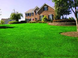 Lush green lawn with perfectly manicured grass