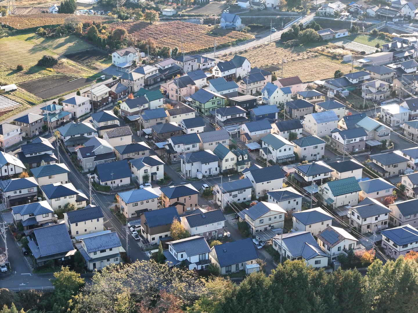 A small town with many houses and a few cars. The houses are mostly white and the cars are mostly white