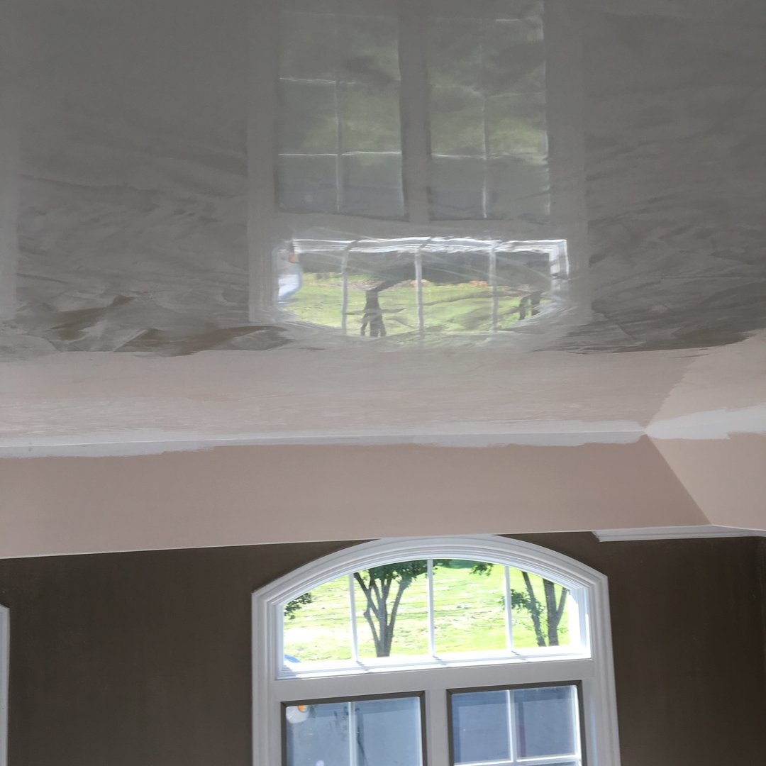 A room with a glossy ceiling reflecting a window view of trees and a lawn outside.