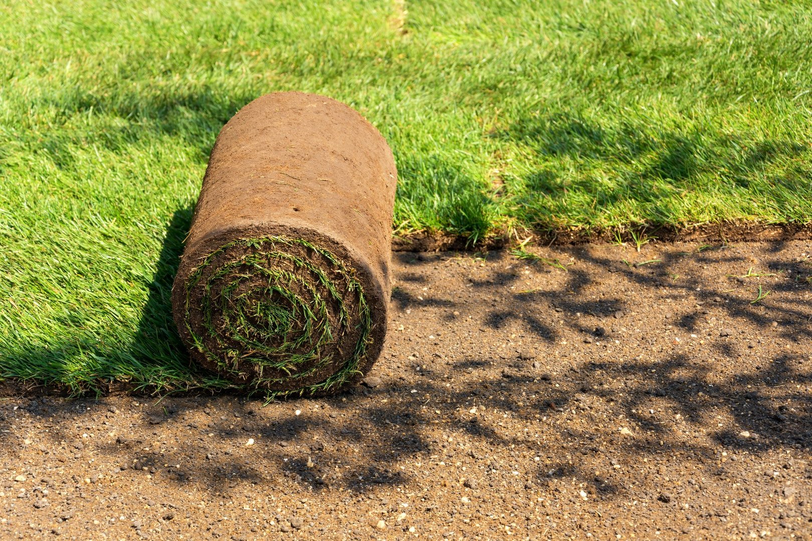 Close shot unrolled turf roll of natural green grass