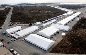 Carver Recon emergency site operations