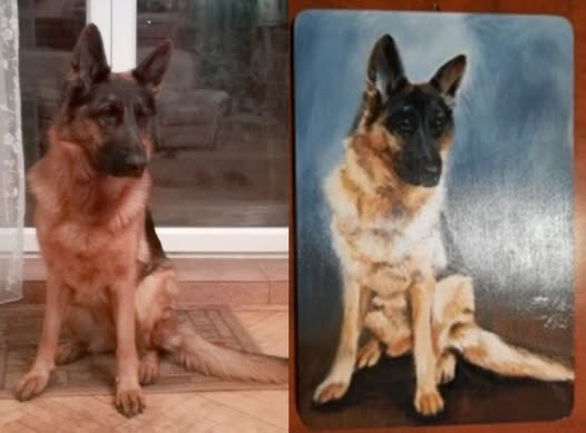 Zrealizowane zamówienie 14