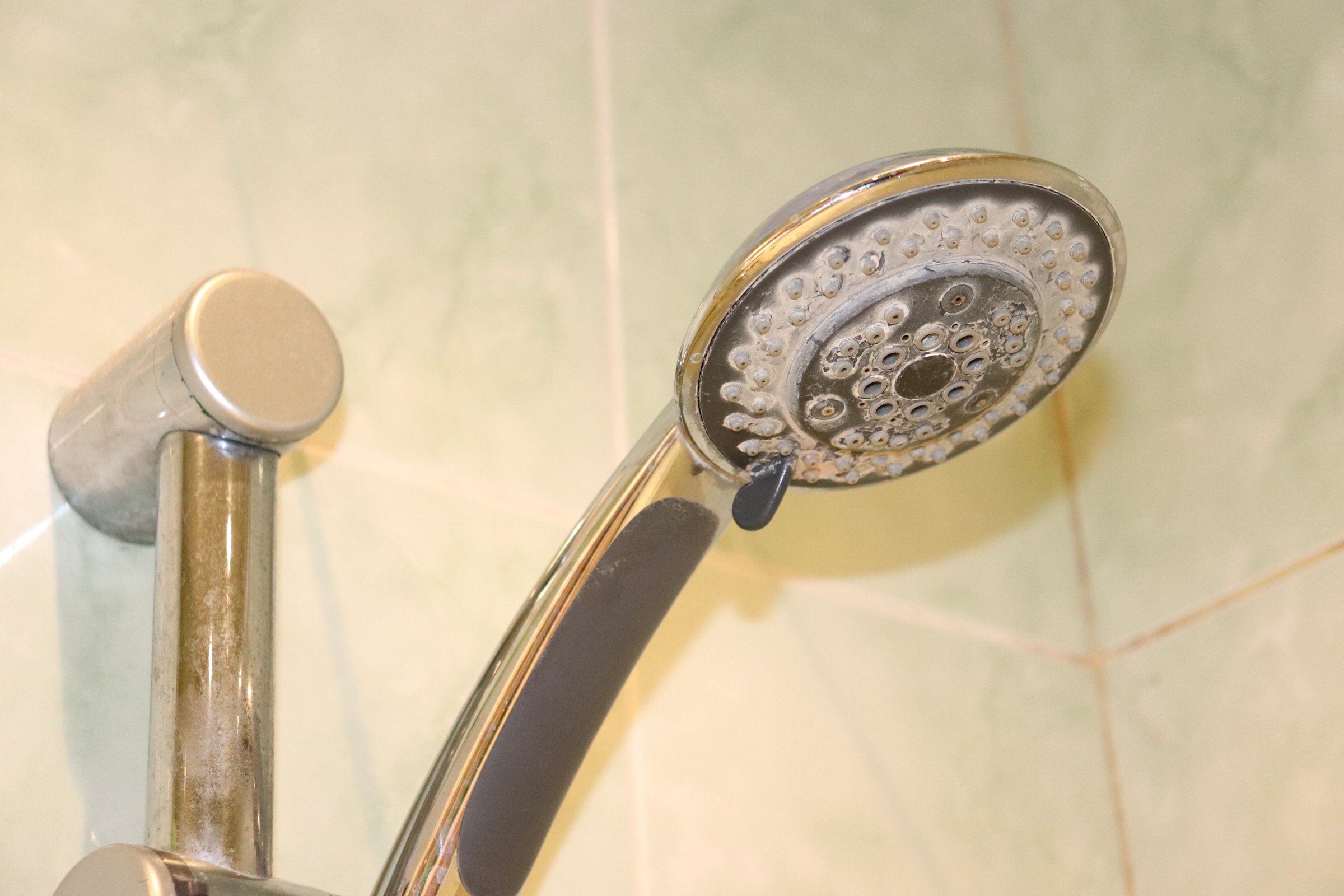 Shower head with limescale in the bathroom against the background of tiles. Color horizontal photo, close-up