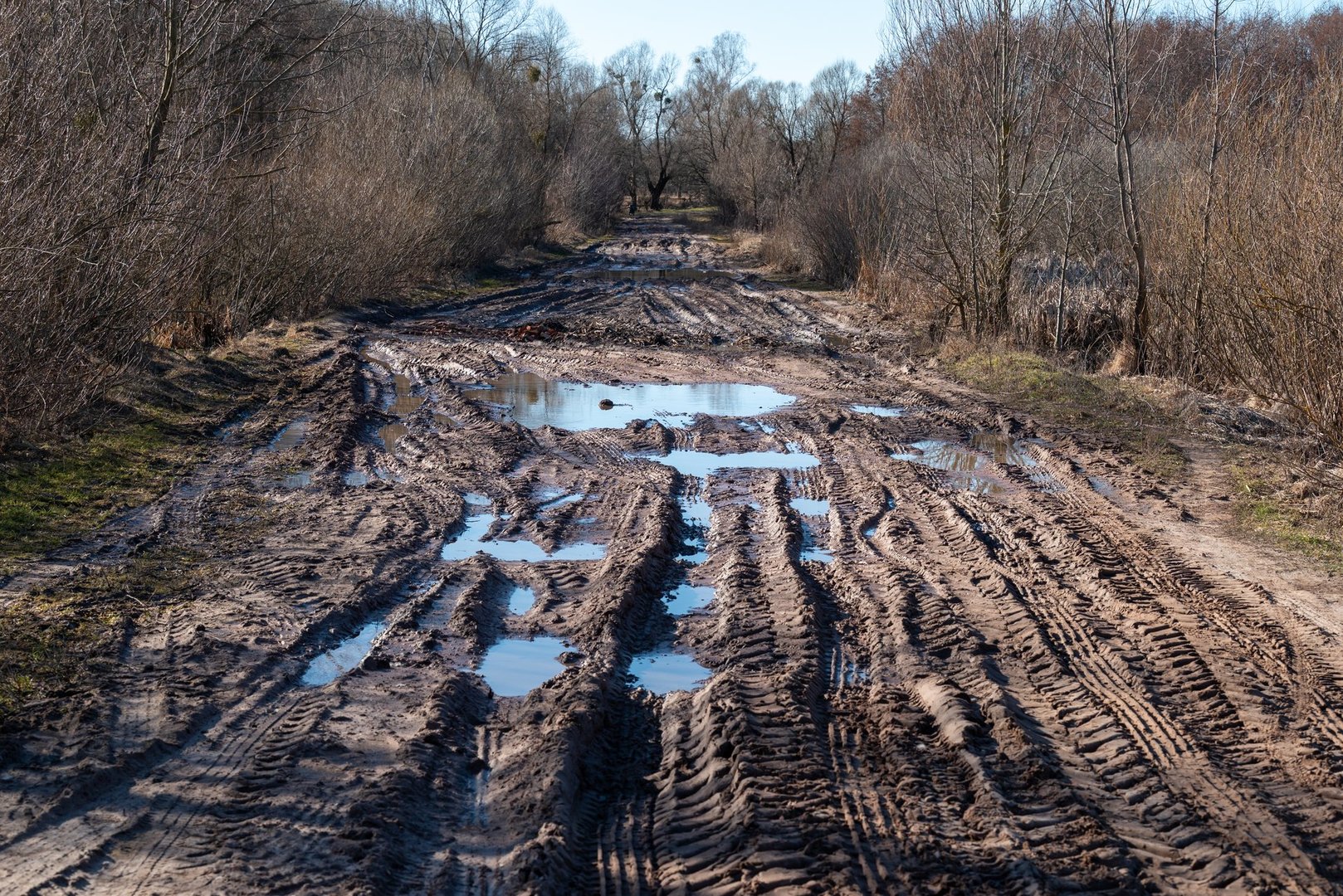 Forest dirt road with water puddles and deep vehicle ruts in early spring, highlighting weather impact on infrastructure