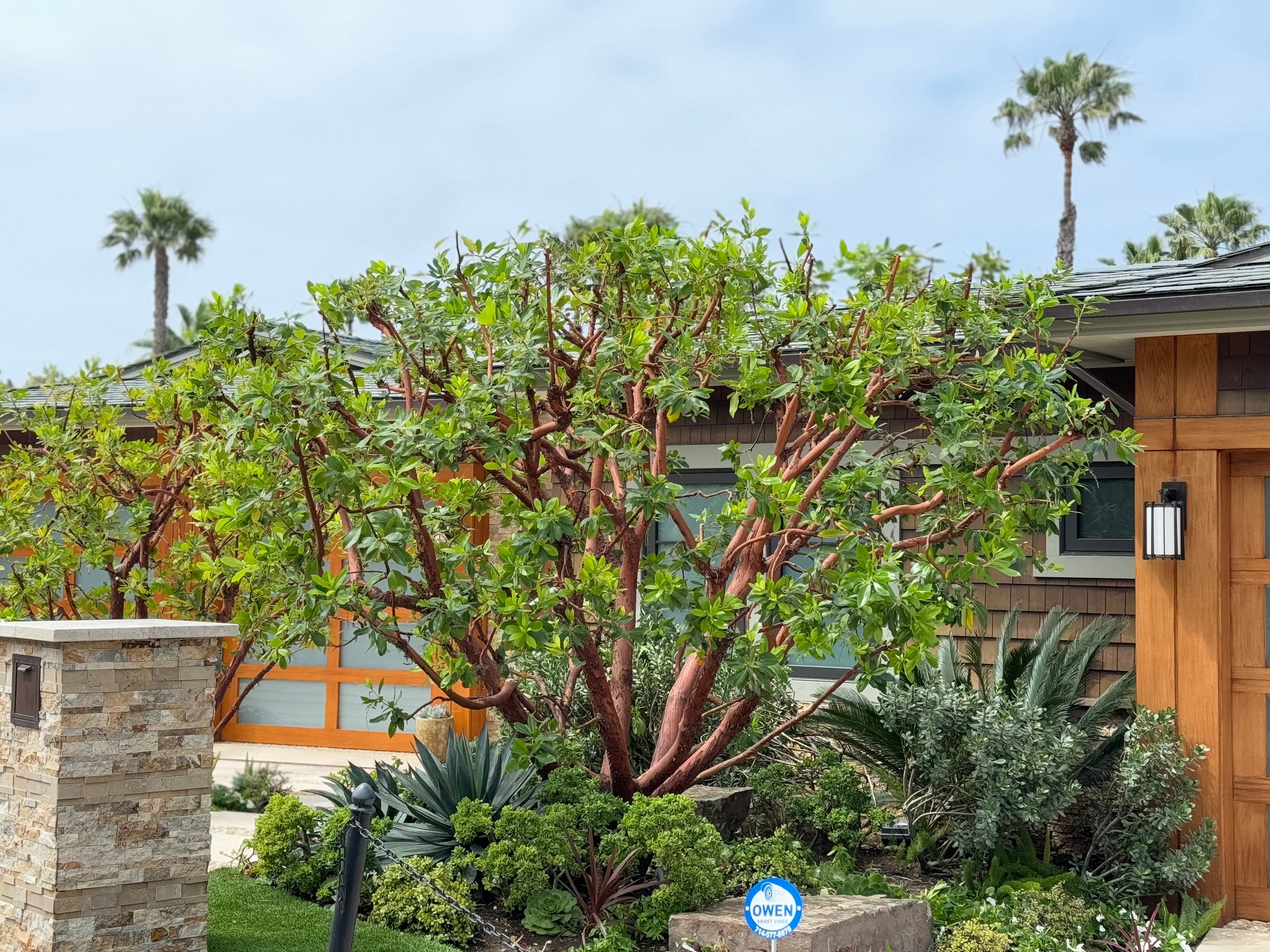 Leon Landscape Corp project showcase