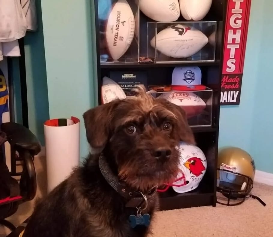 Bo Brady - Team Mascot