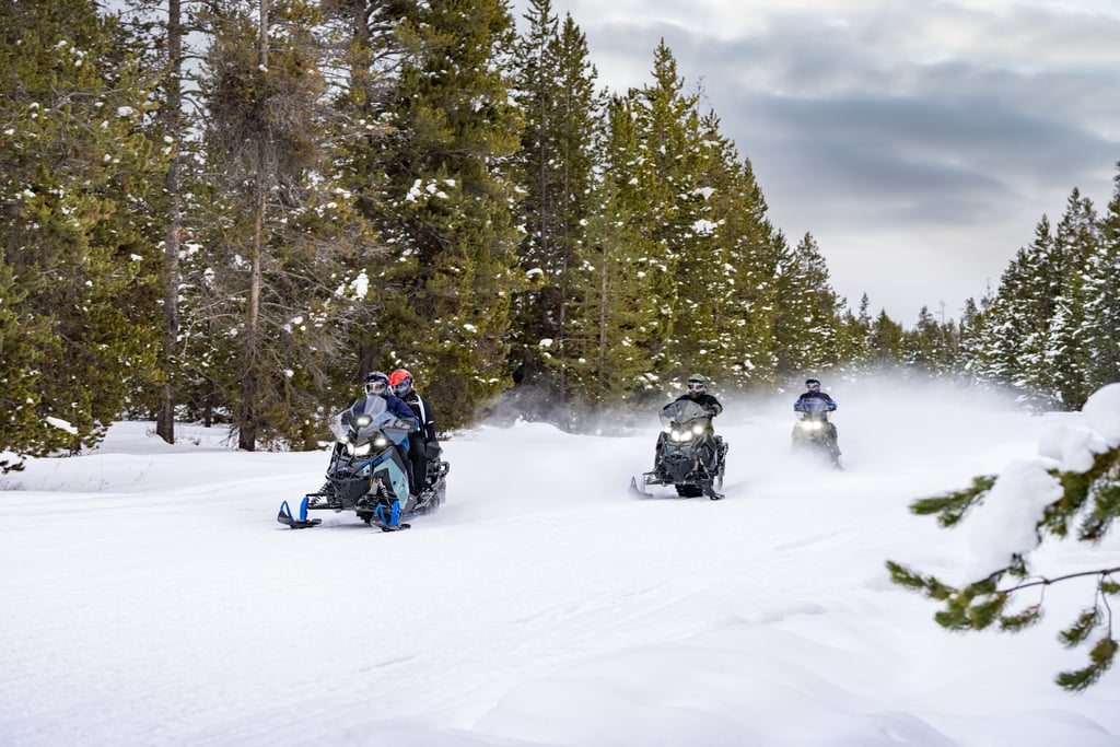 Group of snowmobilers riding through scenic snowy mountain landscape