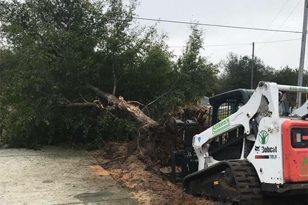 Navarre Bobcat Service