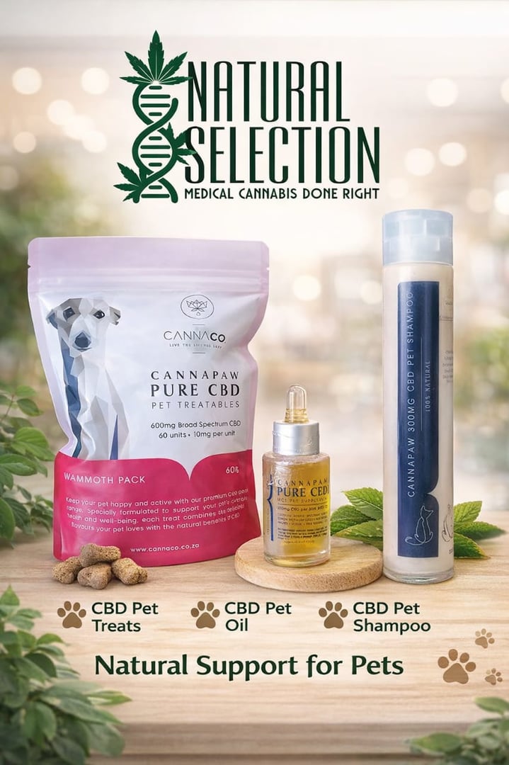 Natural Support for Pets