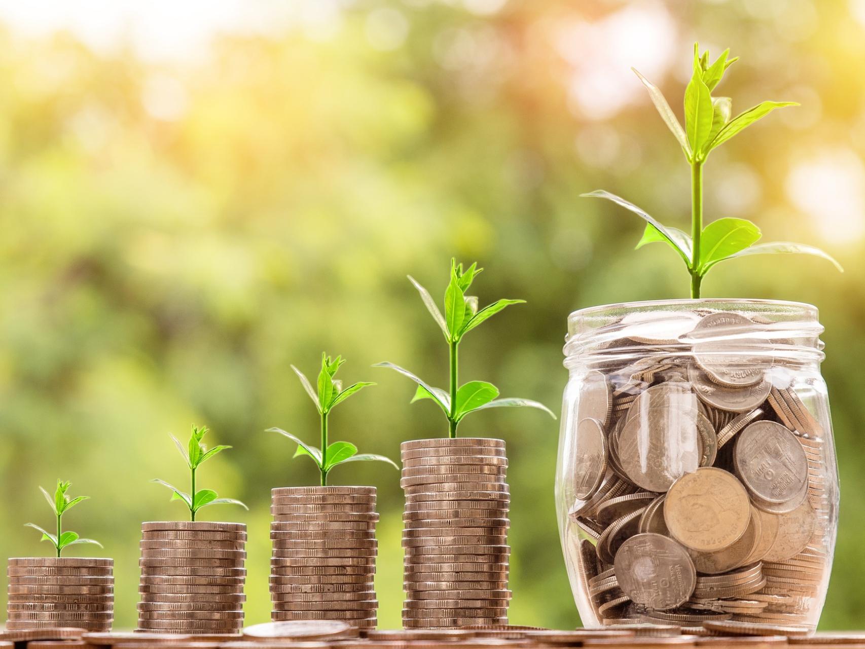 Stacks of coins with growing plants, increasing in height, leading to a jar of coins with a large plant, symbolizing growth.