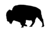 Buffalo Electric logo