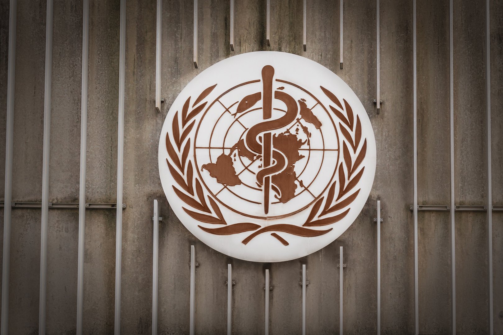 World Health Organization