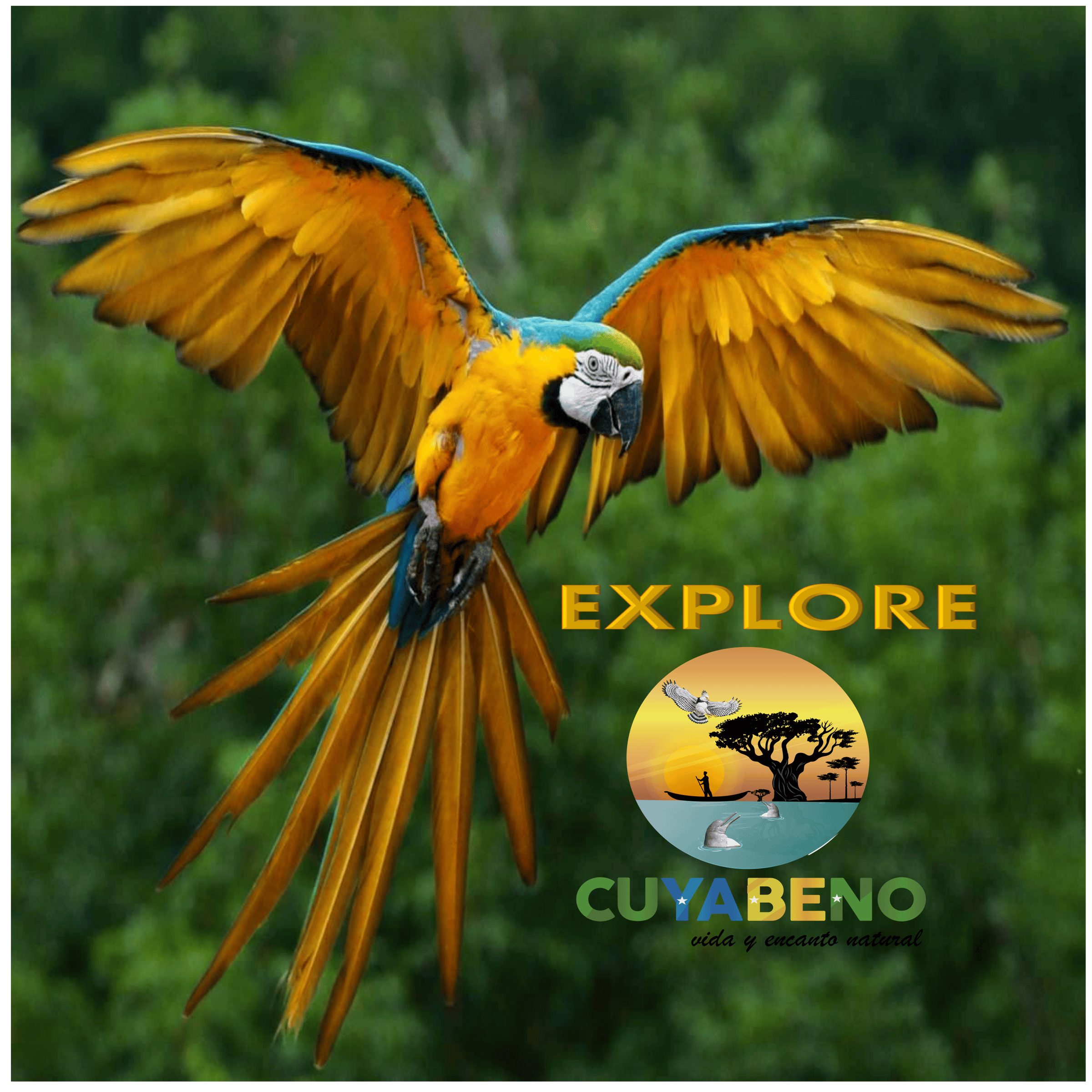Portada de la aplicación móvil Explore Cuyabeno