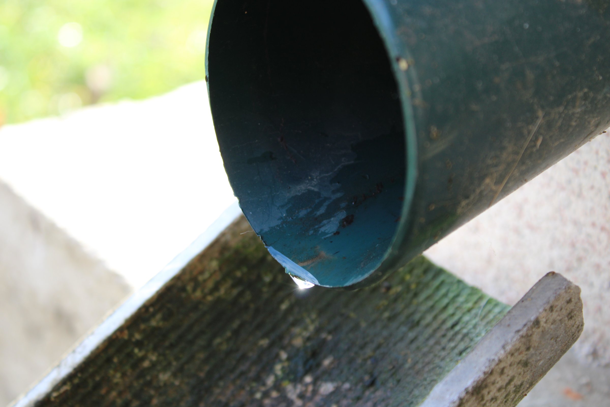 Water runs out of a downspout onto a wooden surface in a garden setting. The scene shows a typical rainy day with greenery in the background.