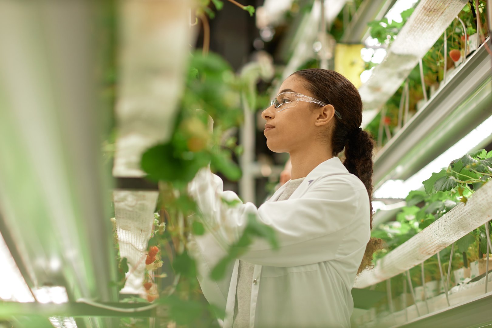 Female scientist in white lab coat examining plants in an indoor vertical farm, surrounded by shelves of lush green foliage illuminated by artificial lights