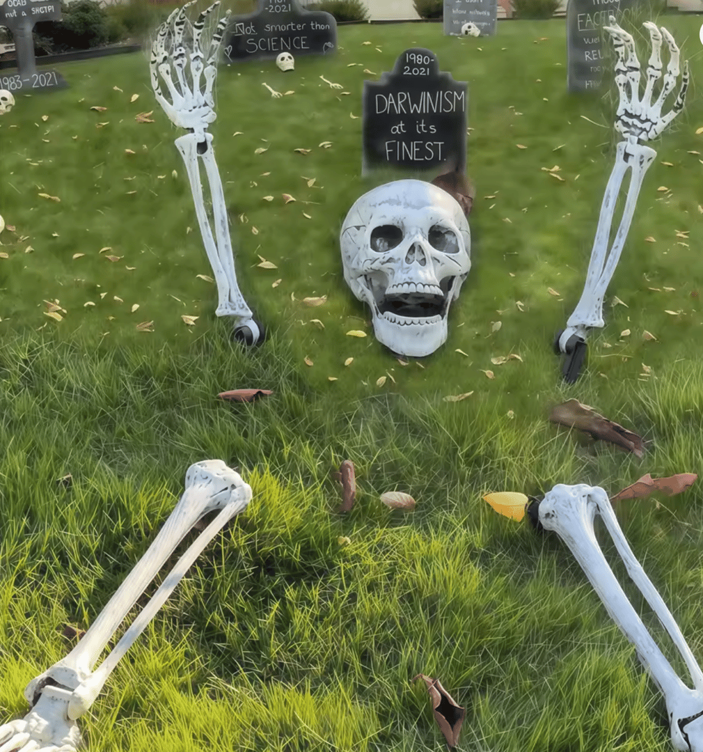 Halloween Skeleton Outdoor Decor Set