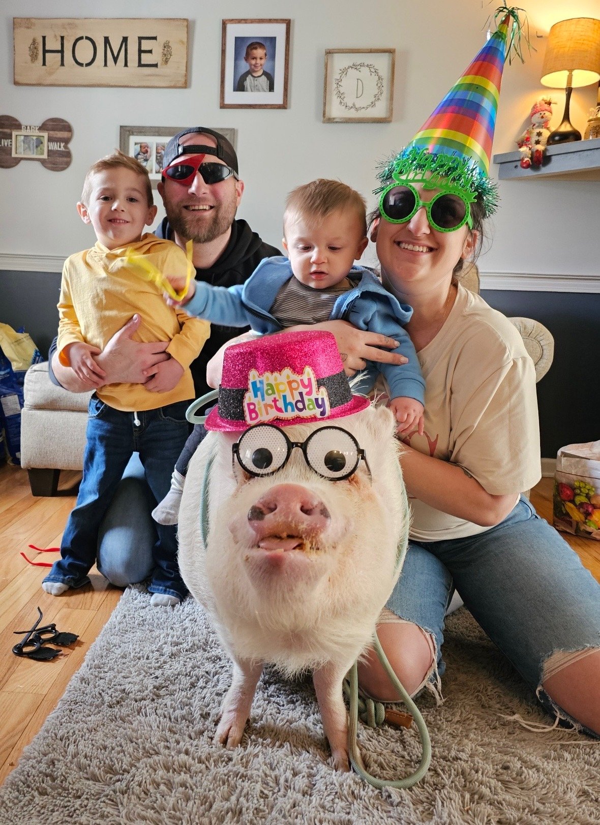 Cute piglet in rustic farm environment