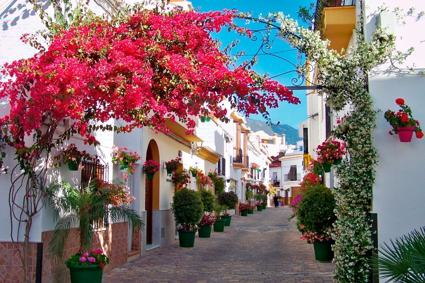 Estepona - Modern coastal living