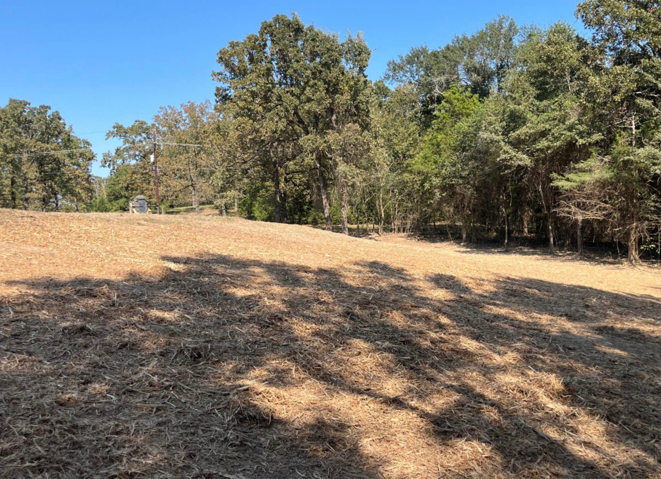 Forestry mulching project
