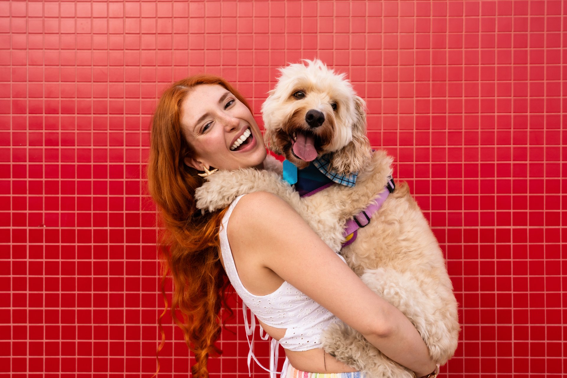 Redhead woman in a white top holds her fluffy cockapoo against a red tiled wall, both laughing and sharing a joyful, affectionate moment of playful companionship