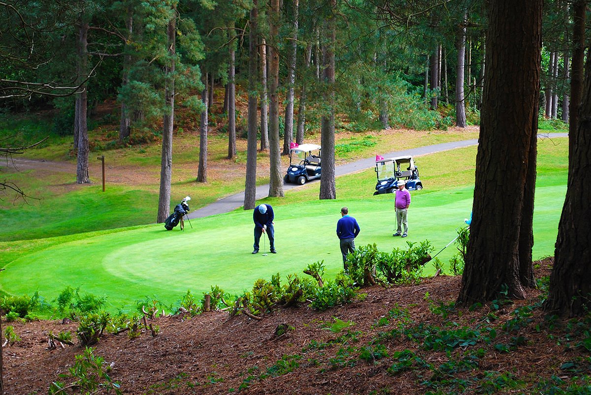 Old Thorns resort grounds and parkland setting