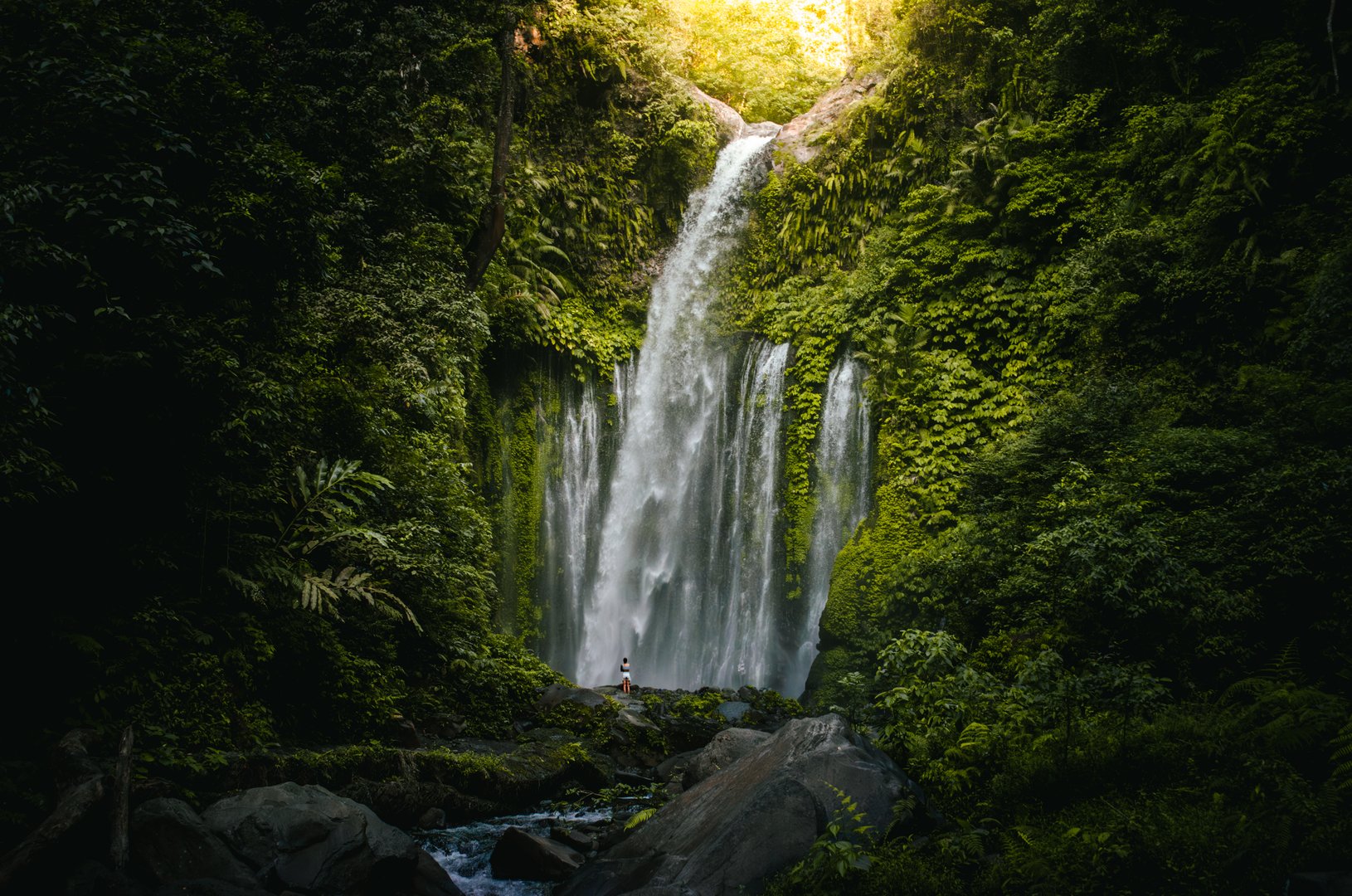 Misty waterfall in lush jungle