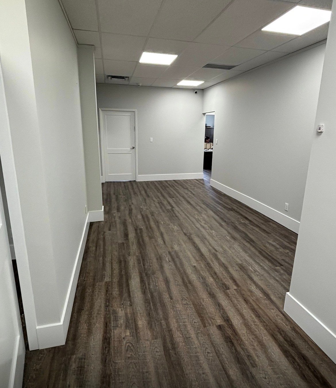 Fresh painted walls showing quality finish and protection