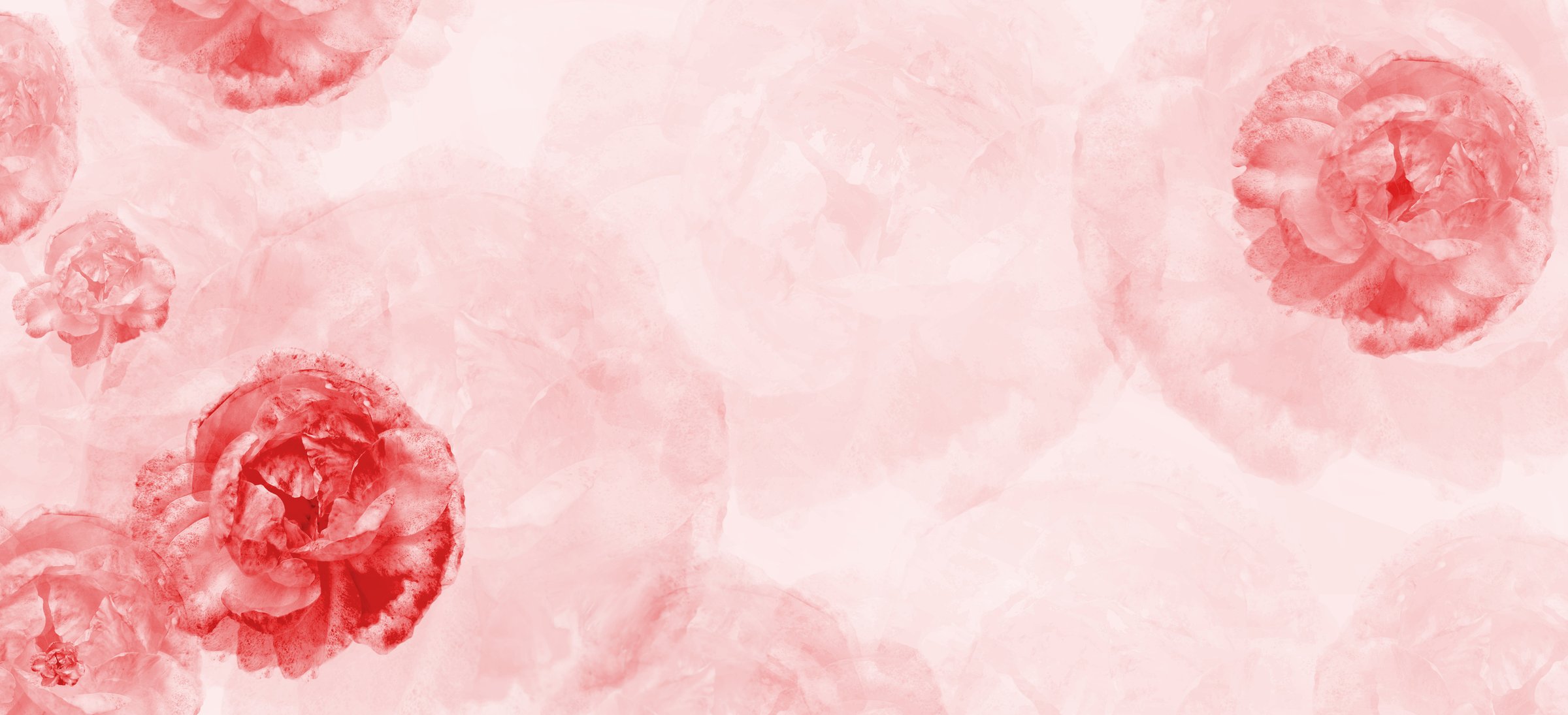 Dreamy soft pink background with  flowers merging in a pastel colored. Template banner. Wedding, Birthday, Valentines Day. Purple pink white gradient toned