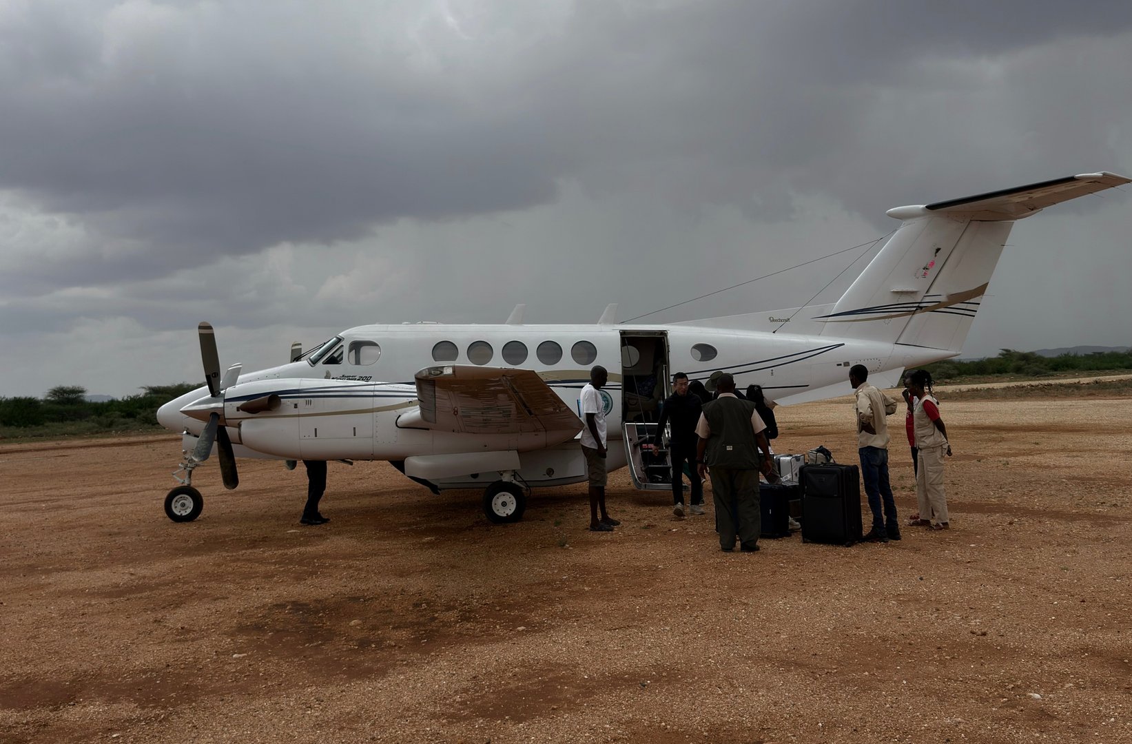 Experience unforgettable safari adventures from the sky with FeelJets