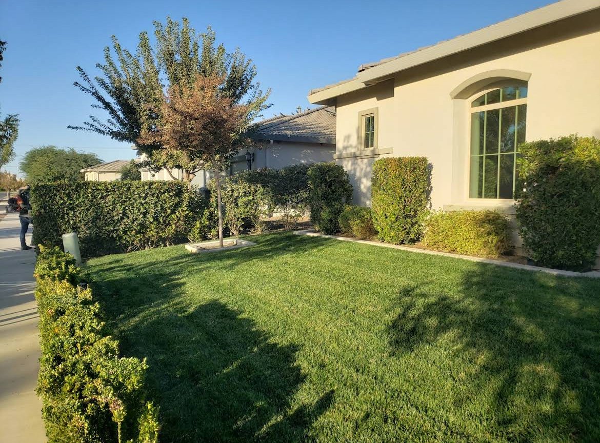 Lawn care project by Sharp Edge Lawn Services