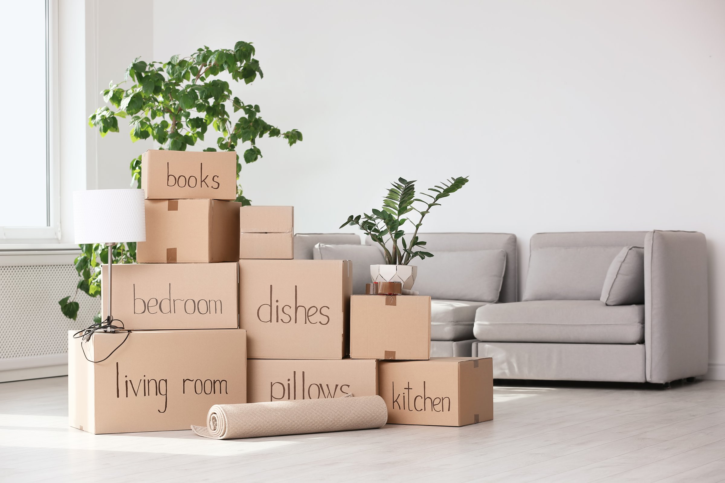 A warm, well-lit photograph capturing the chaos and excitement of moving house. Brown cardboard boxes are stacked prominently, labeled for different rooms, sitting on a wooden floor next to a modern gray sofa. Useful for real estate, logistics, home ownership, property management, and professional relocation services.
