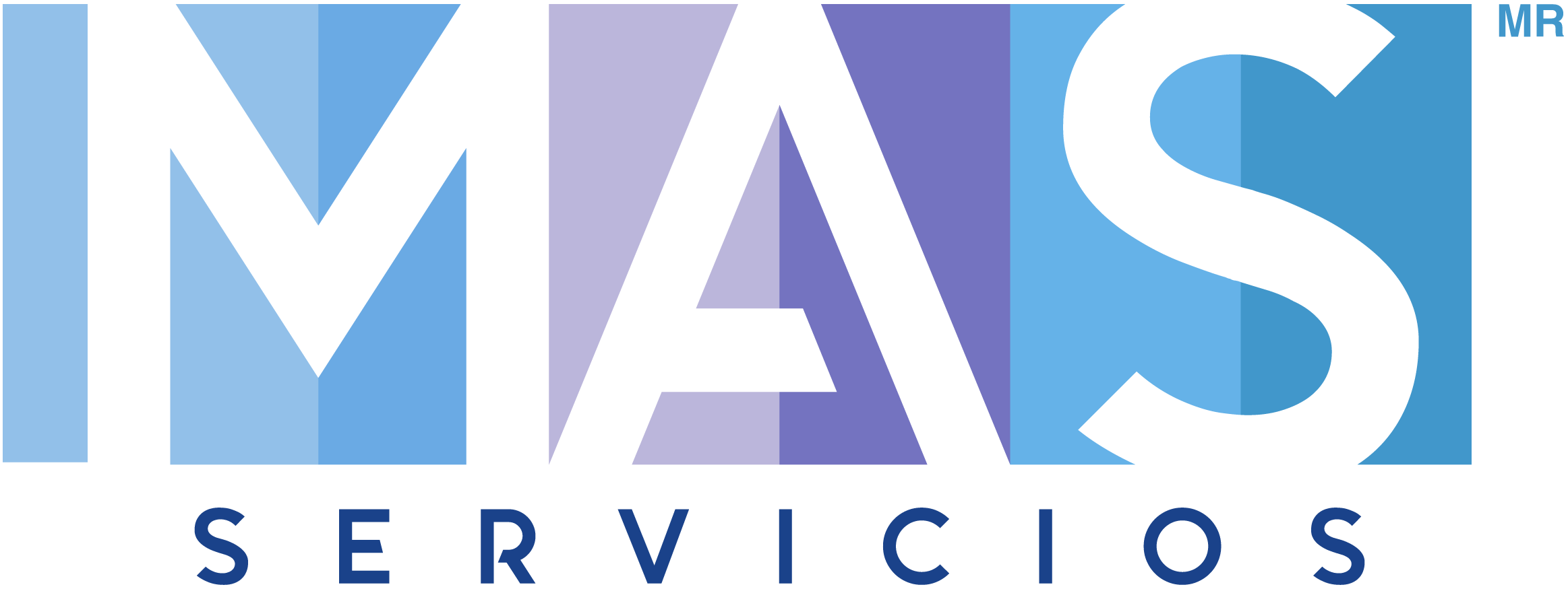 MS Logo