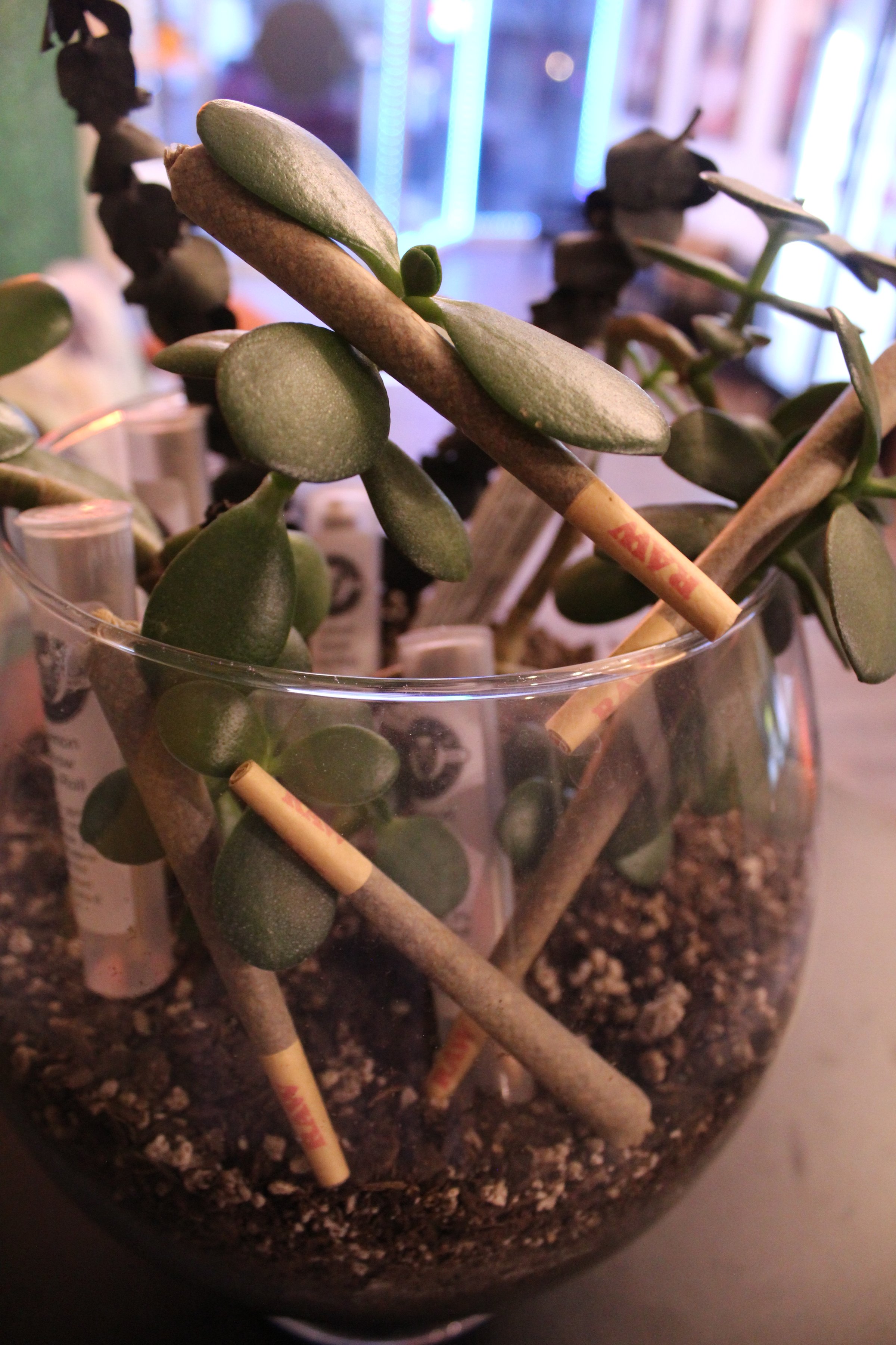 Premium Flower Product