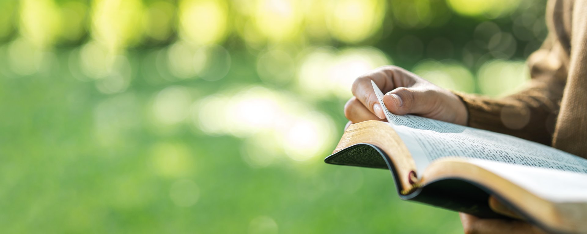 The concept of reading the Bible and praying for God's blessings. Therapeutic living in peace with nature while spending time with God. Young woman reading the Bible of divine teachings
