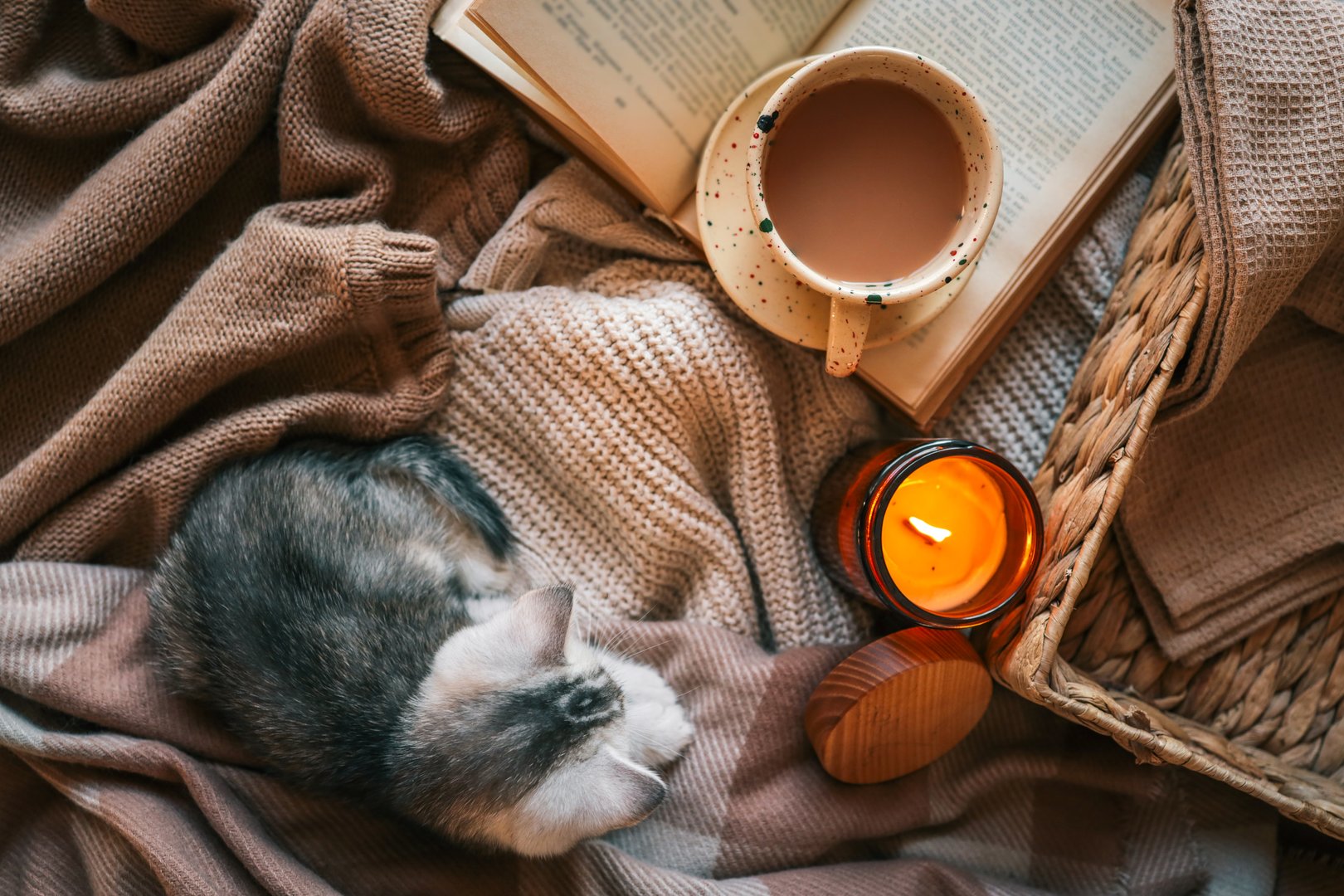 Flat lay with a cozy setup featuring a small kitten resting on soft knit blankets, an open book, a cup of cocoa or coffee, and a lit candle - warm, peaceful, and homey atmosphere.