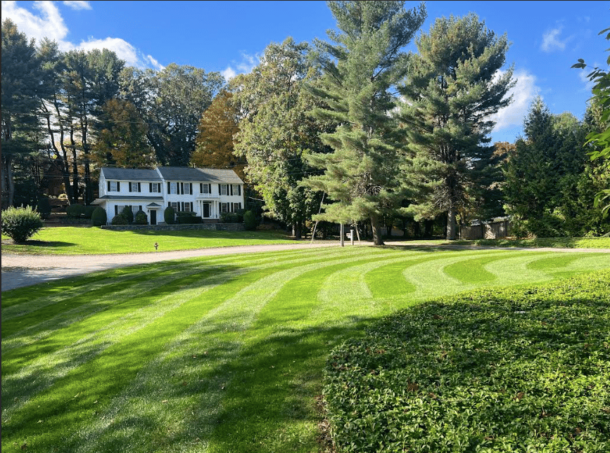 Professional landscaping work
