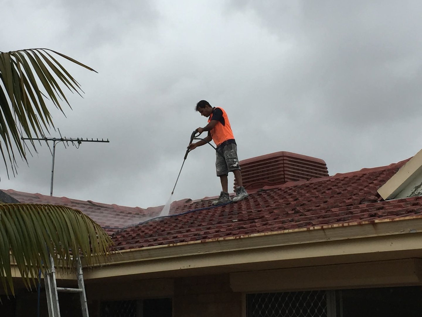 Great Painting Services project