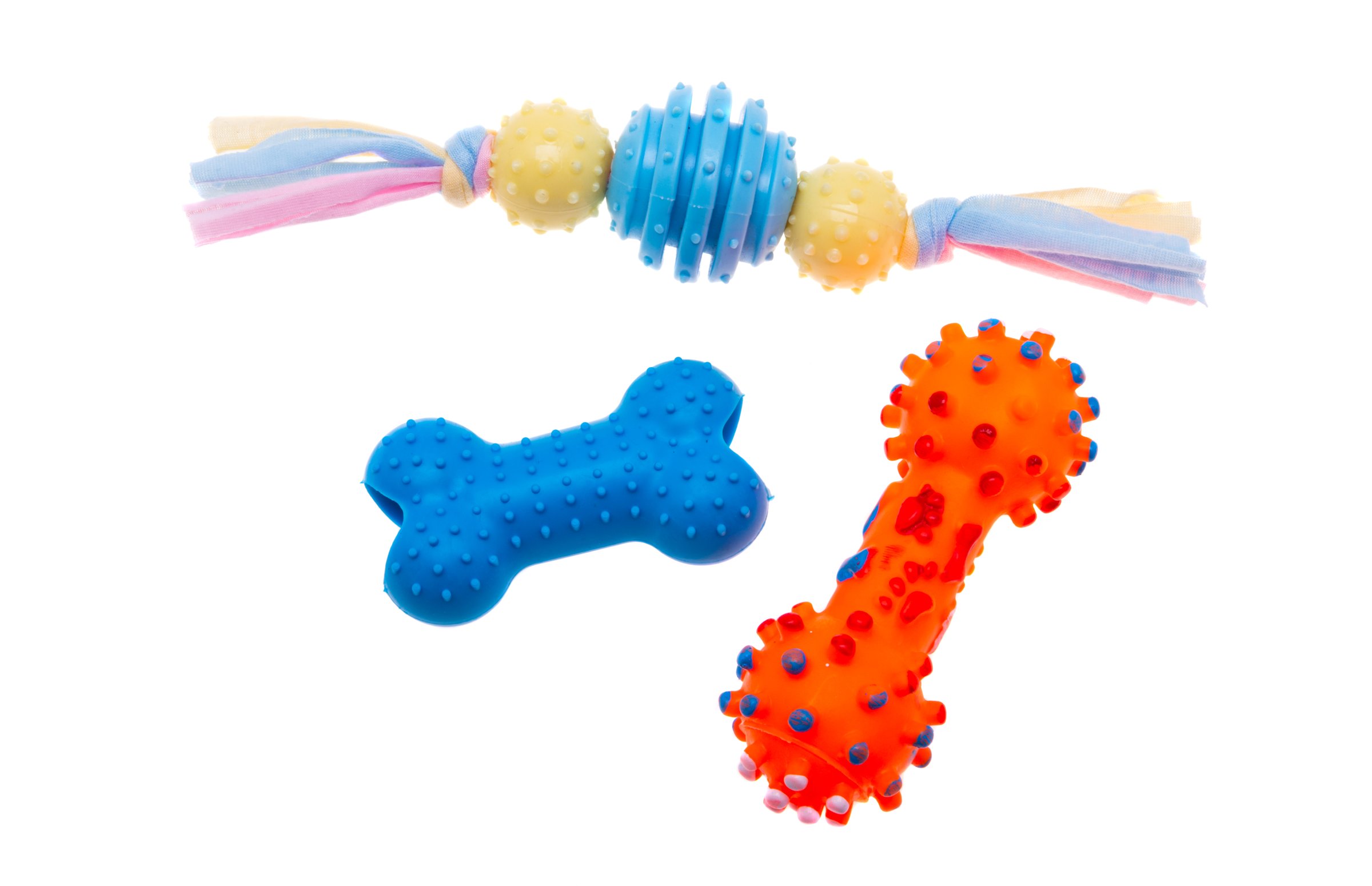 Interactive Dog Toys
