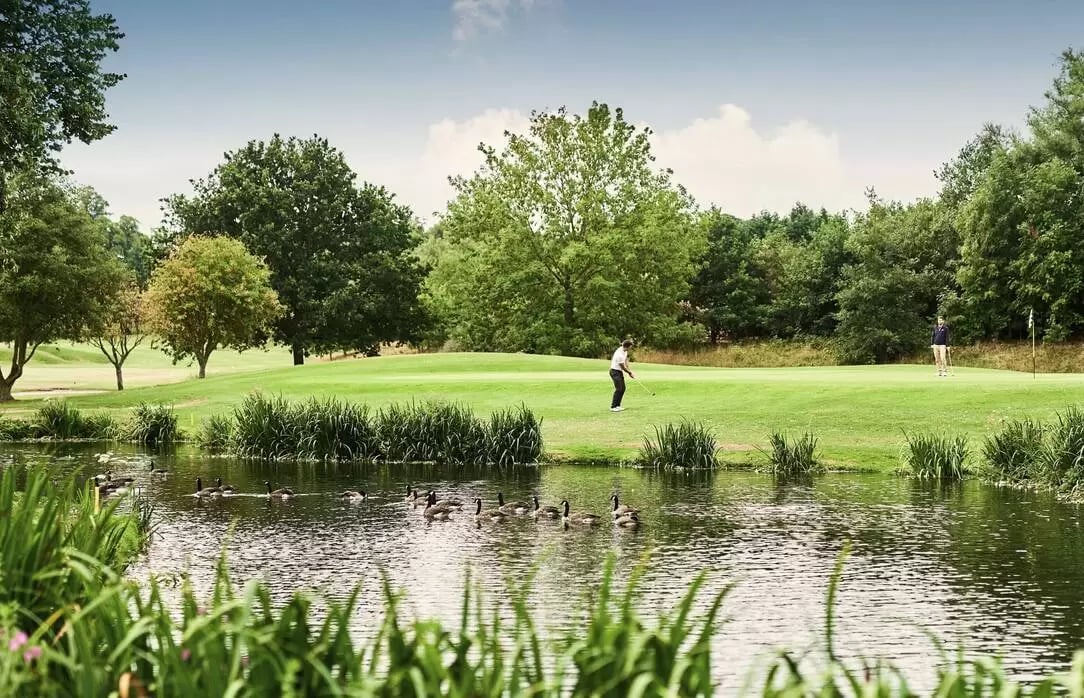 Mottram Hall golf course detail