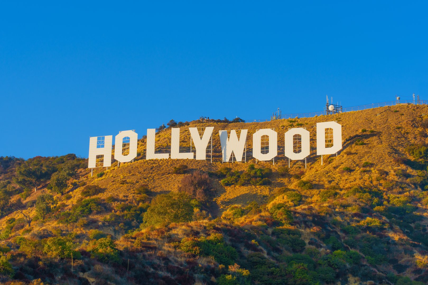 Los Angeles, California - December 10, 2024: Iconic Hollywood Sign stands majestically on the hillside, bathed in warm sunset light, framed by lush greenery and clear blue skies in Los Angeles, California.