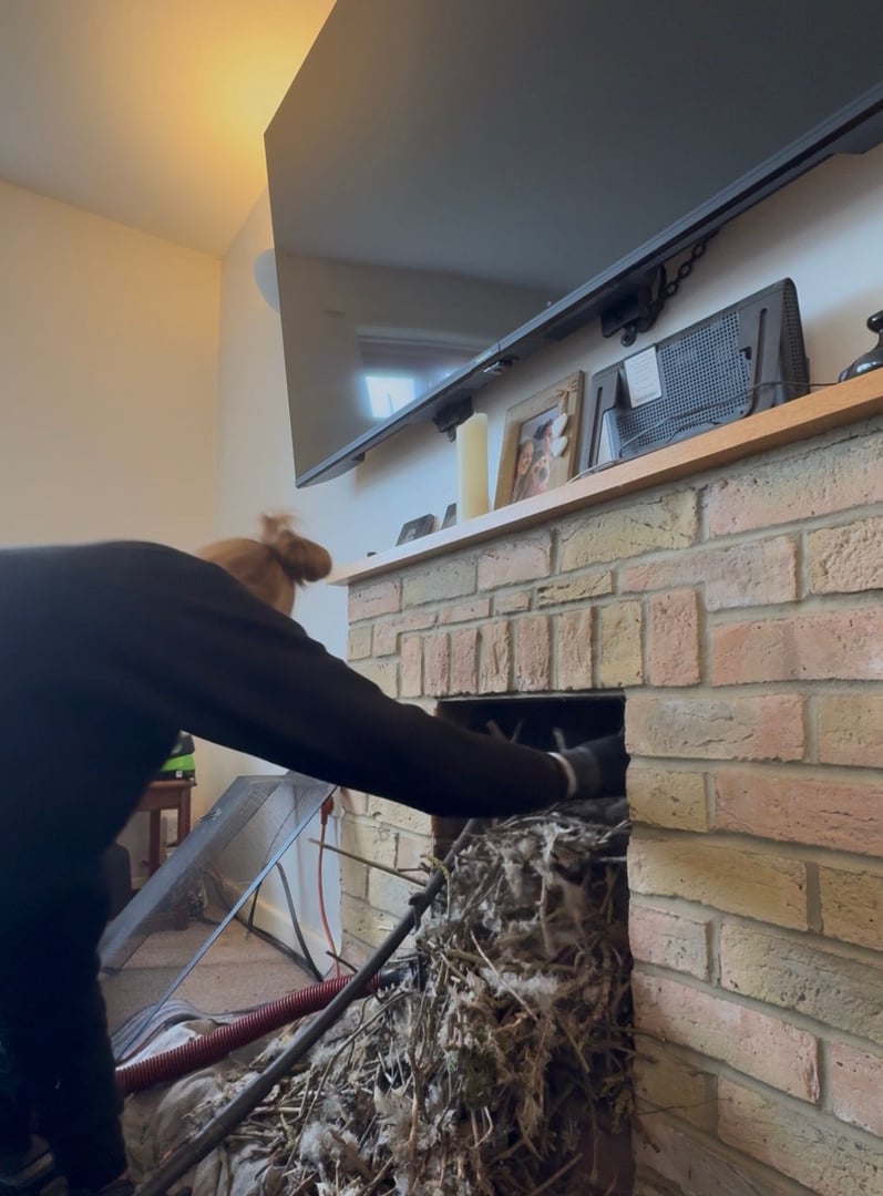 Heavy chimney debris and tar buildup