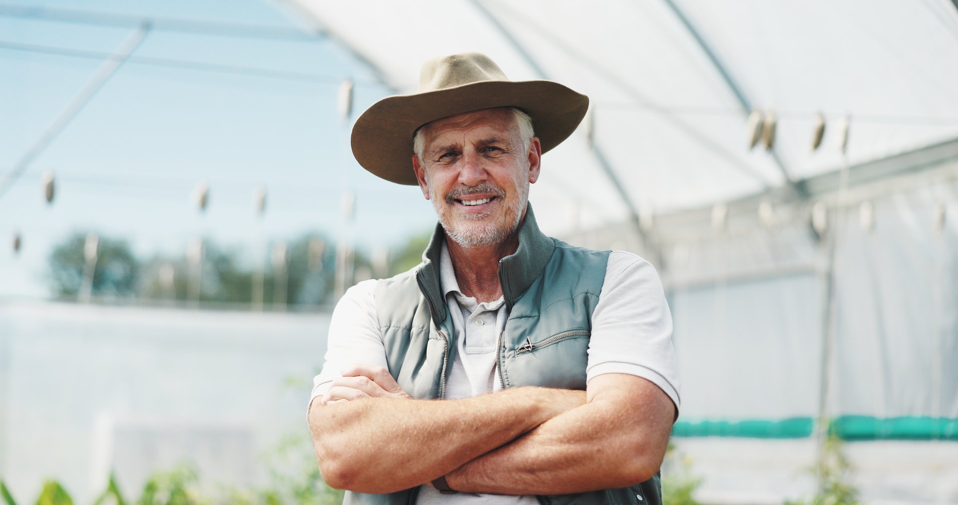 Mature man, smile and arms crossed in greenhouse, farming and growth with sustainability in summer. Person, happy and portrait with food production, agriculture and nursery for vegetables