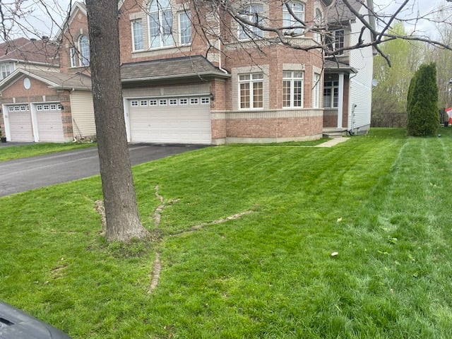 Capital City Grass lawn care project