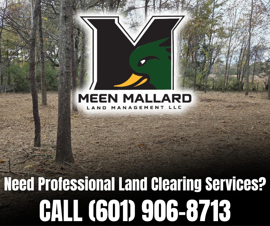 Professional equipment