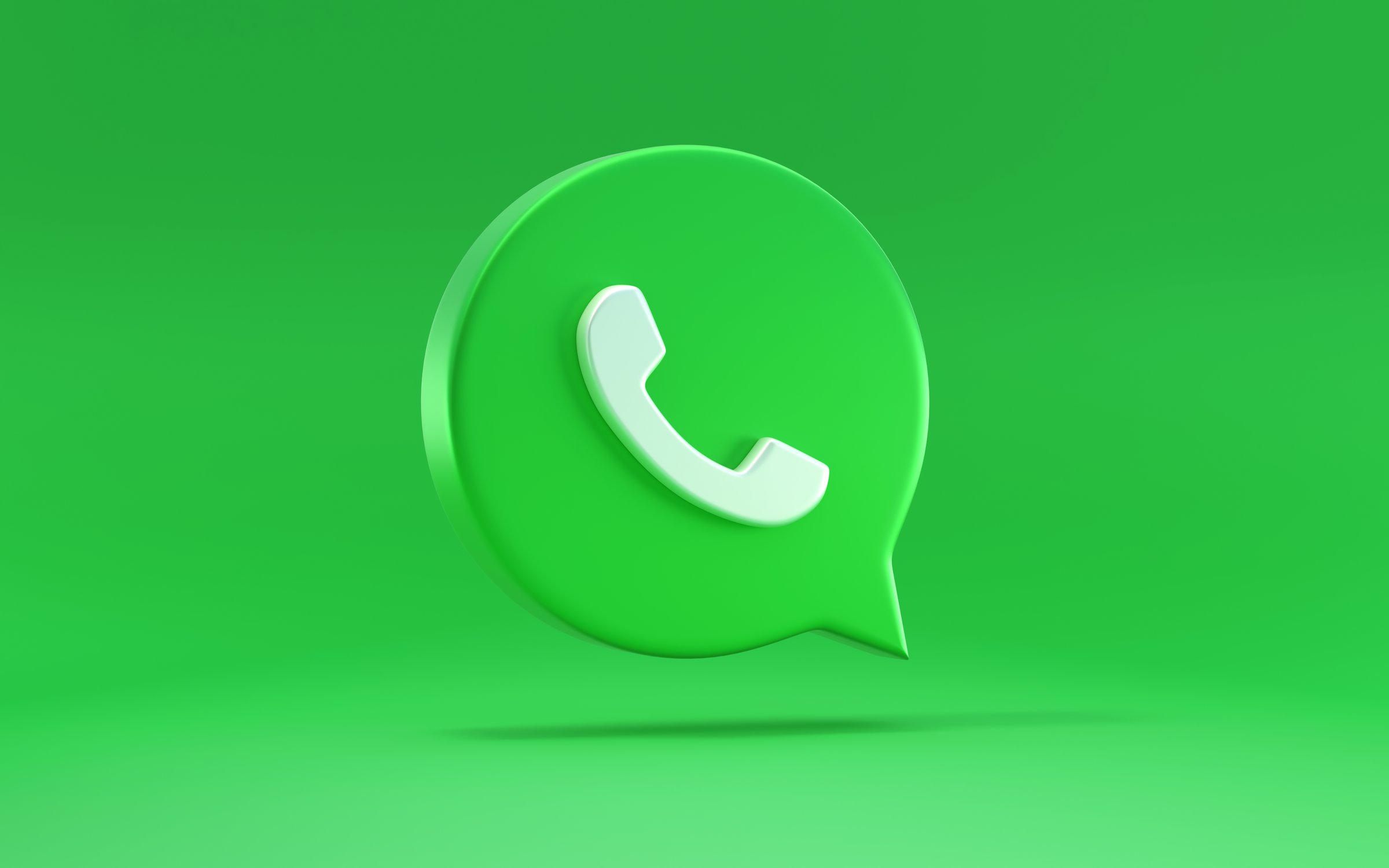 WhatsApp Contact