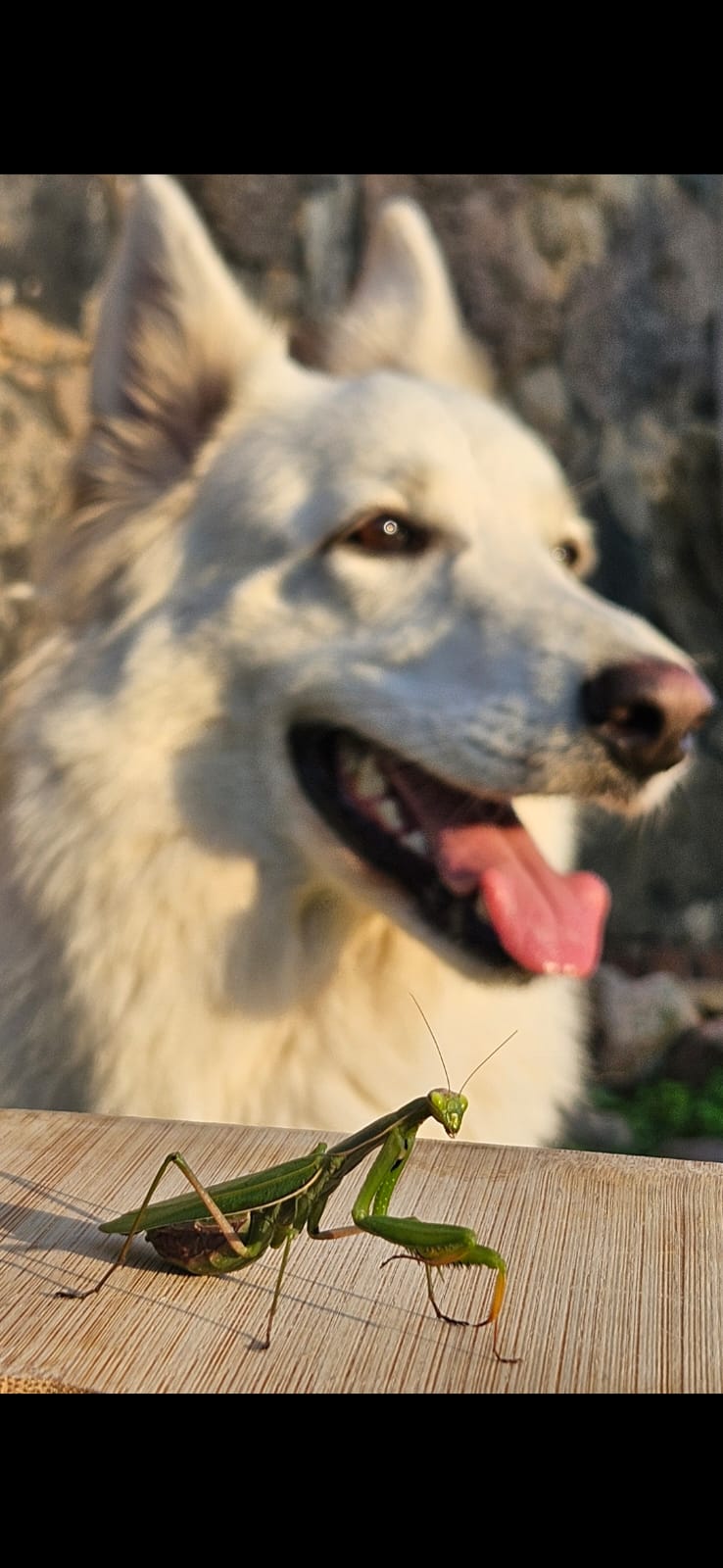 Dołącz do społeczności