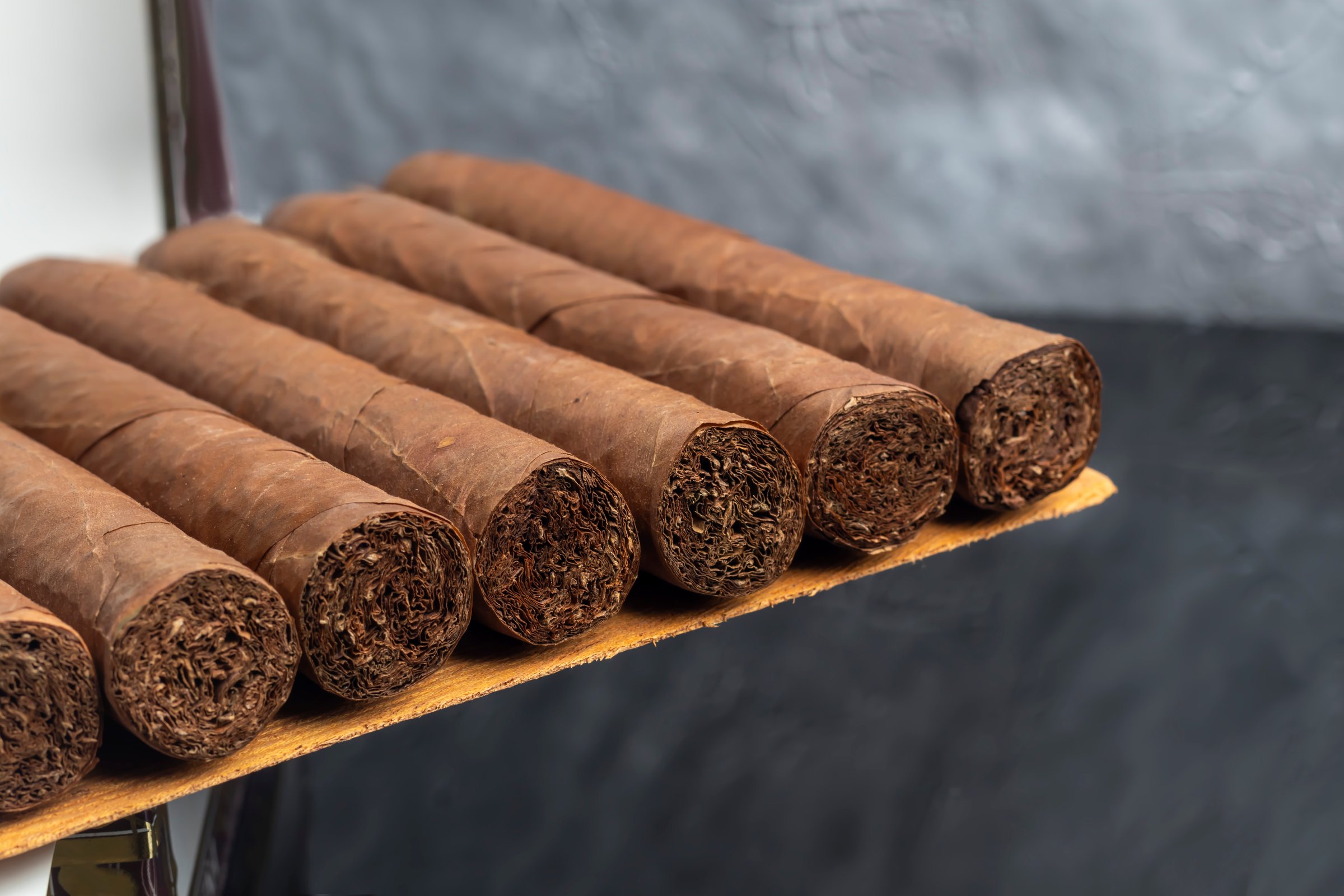 Cigars on a dark background. Product for sale. Copy space
