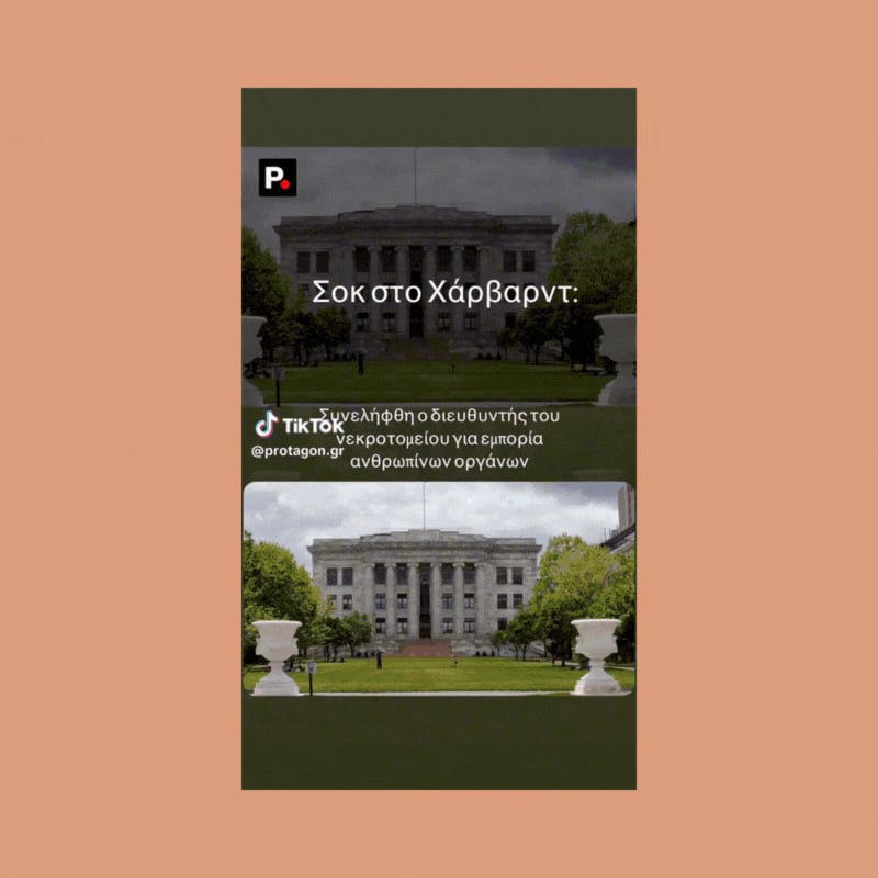 Protagon.gr TikTok content creation and management