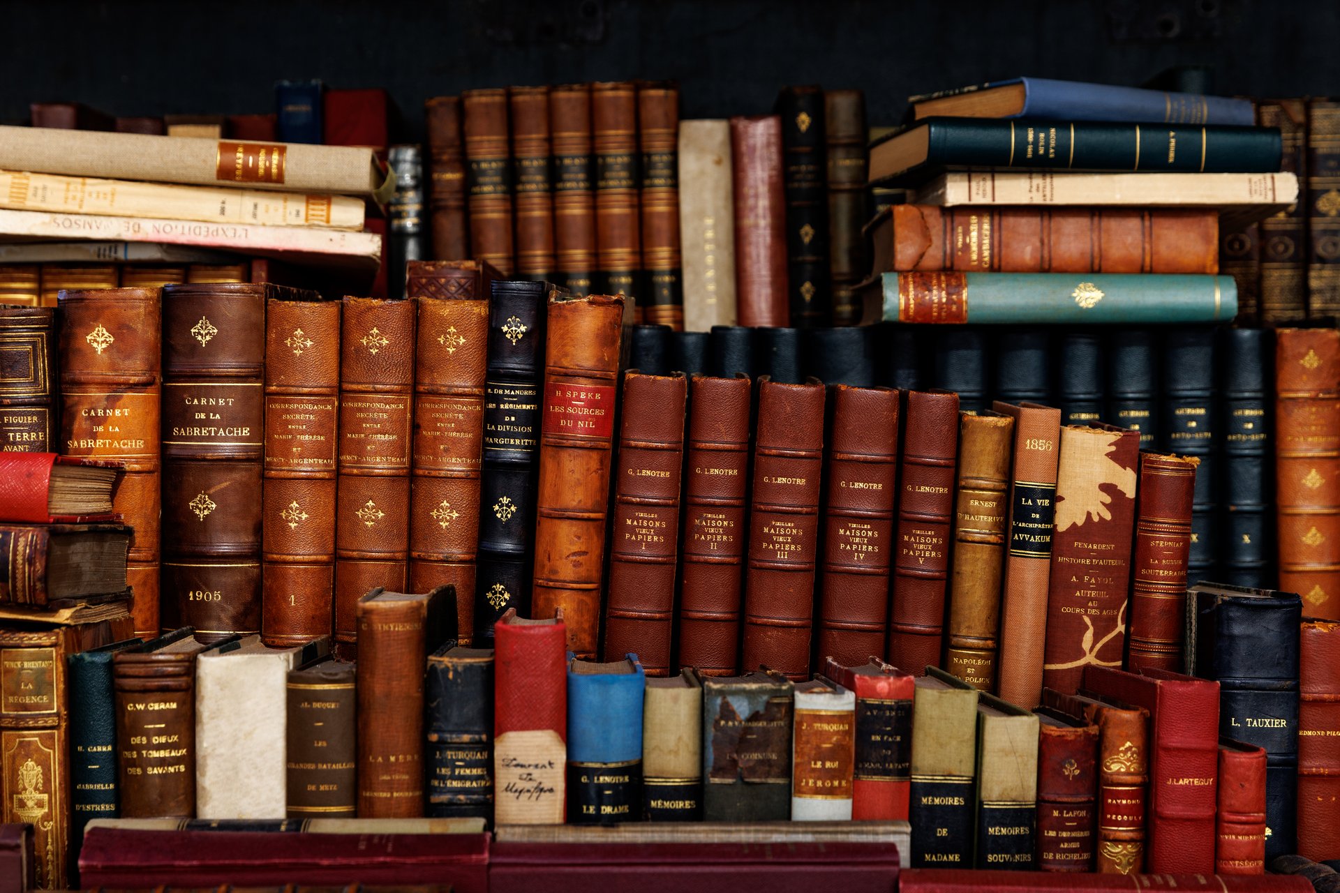 The image showcases a vast assortment of books, arranged in a visually striking manner