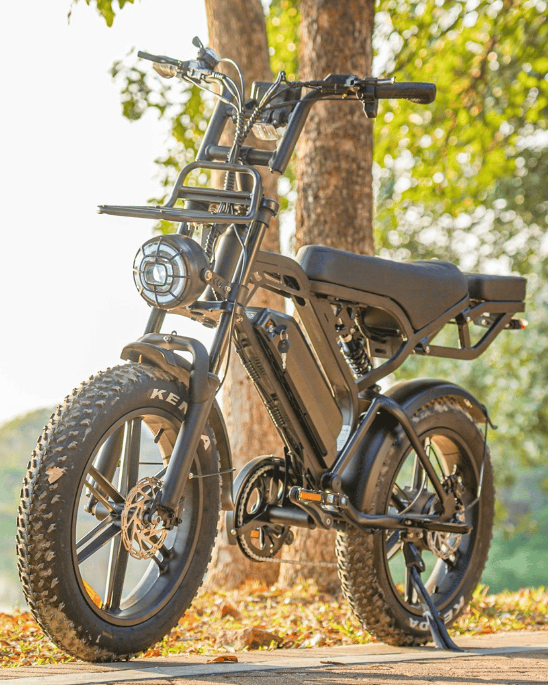 Vanta Glider E-bike rear view